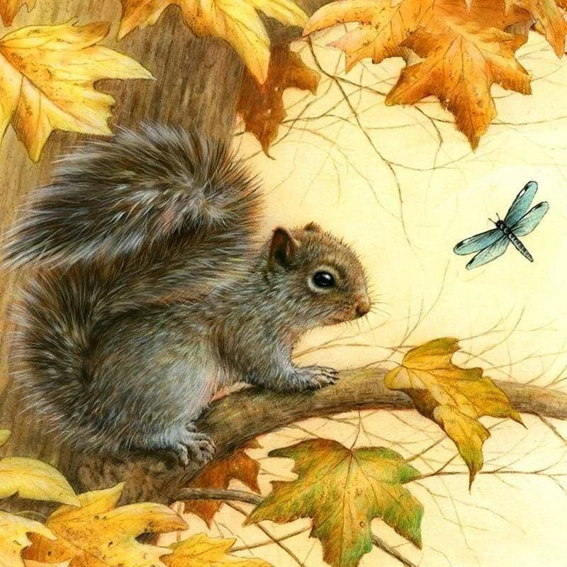 Squirrel Diamond Painting Kits