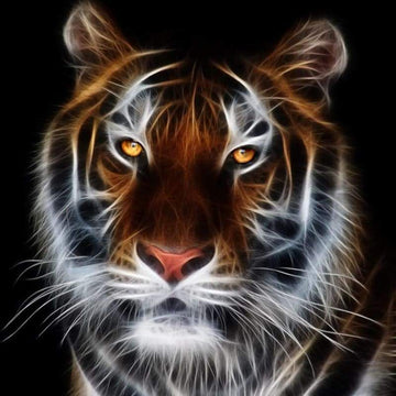 Tiger Diamond Painting Kits
