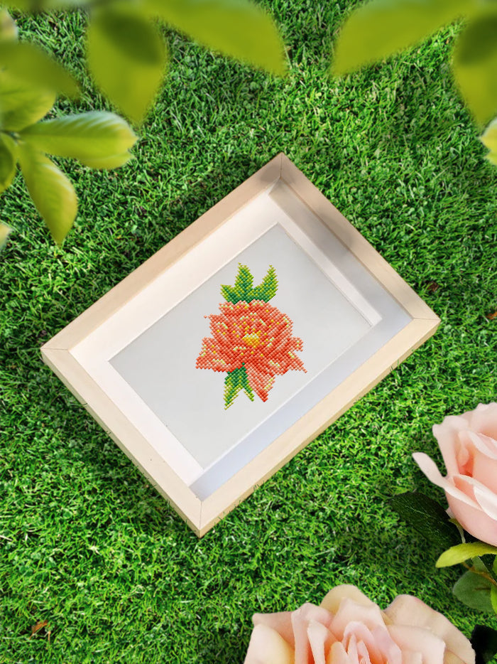 Colourful variety of flowers 12 SET - Diamond Painting