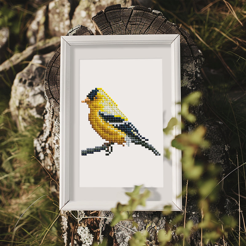 Birdscape 12 SET - Diamond Painting