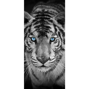 Eyes Diamond Painting Kits