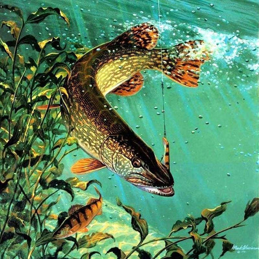 Full Drill - 5D DIY Diamond Painting Fishing Embroidery