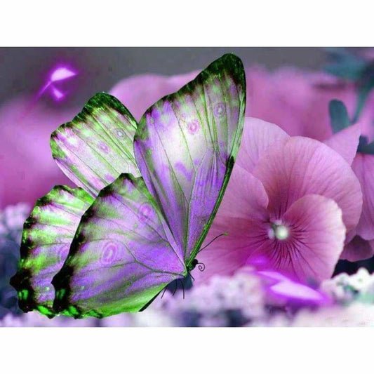Full Drill - 5D DIY Diamond Painting Kits Beautiful