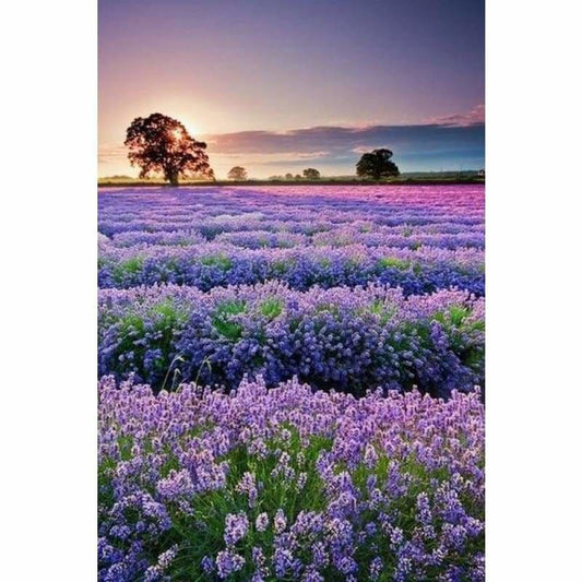 Full Drill - 5D DIY Diamond Painting Kits Beautiful Sunrise