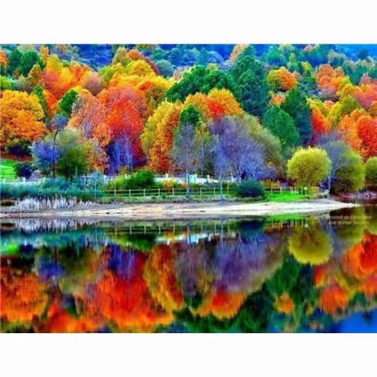 Full Drill - 5D DIY Diamond Painting Kits Cartoon Artistic
