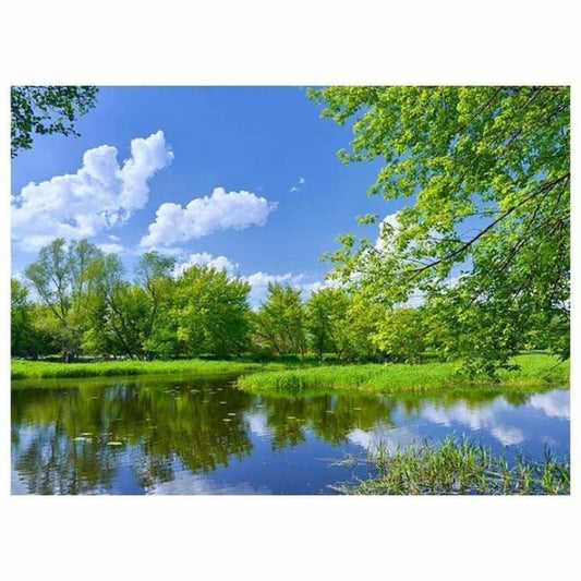 Full Drill - 5D DIY Diamond Painting Kits Charming Spring