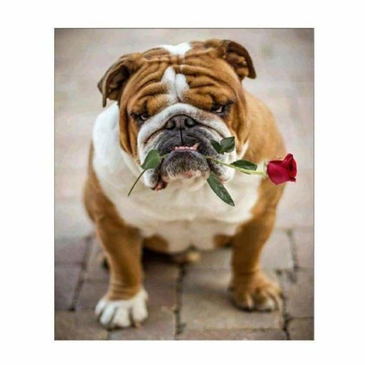 Full Drill - 5D DIY Diamond Painting Kits Cute Pet Dog