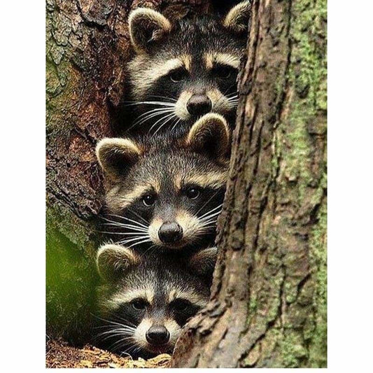 Full Drill - 5D DIY Diamond Painting Kits Cute Raccoon