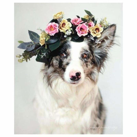 Full Drill - 5D DIY Diamond Painting Kits Cute Special