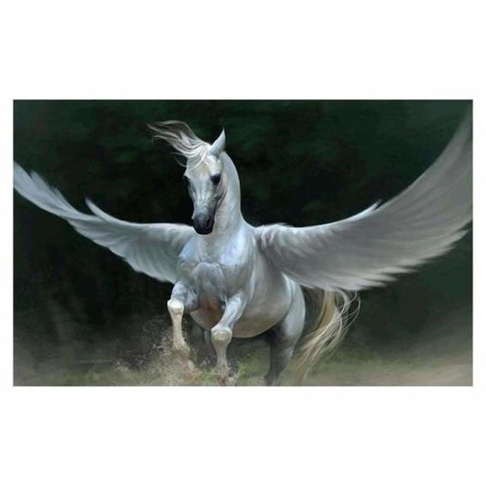 Full Drill - 5D DIY Diamond Painting Kits Fantasy Flying
