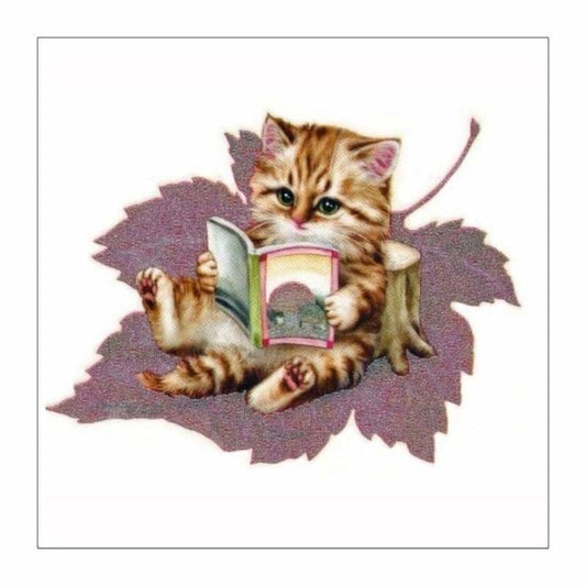 Full Drill - 5D DIY Diamond Painting Kits Funny Cute Cat