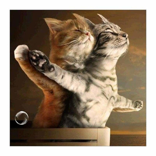 Full Drill - 5D DIY Diamond Painting Kits Funny Cute Cats