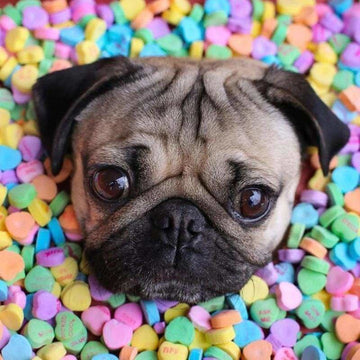 Candy Diamond Painting Kits