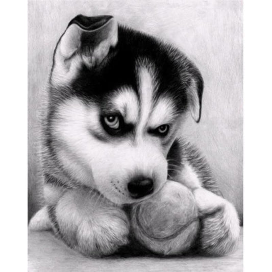 Full Drill - 5D DIY Diamond Painting Kits Grey Funny Dog