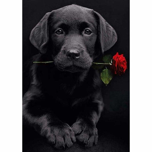 Full Drill - 5D DIY Diamond Painting Kits lack Dog Rose For
