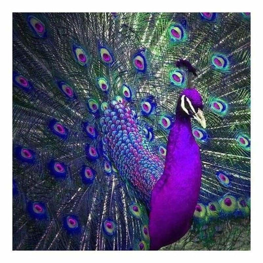 Full Drill - 5D DIY Diamond Painting Kits Purple and Blue