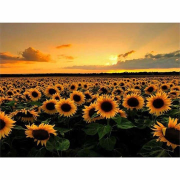 Sunflower Diamond Painting Kits