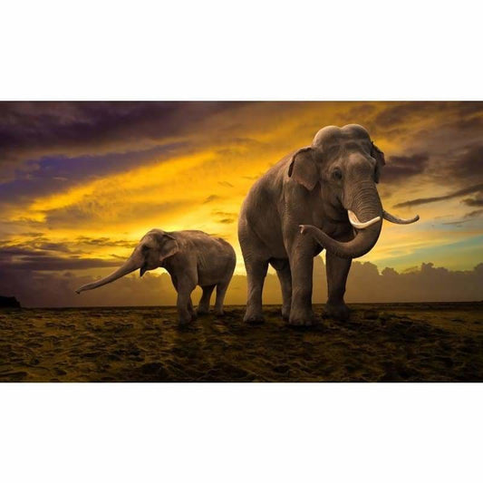 Full Drill - 5D DIY Diamond Painting Kits Sunset Scene