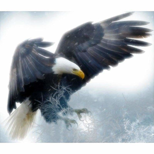 Full Drill - 5D DIY Diamond Painting Kits Winter Flying