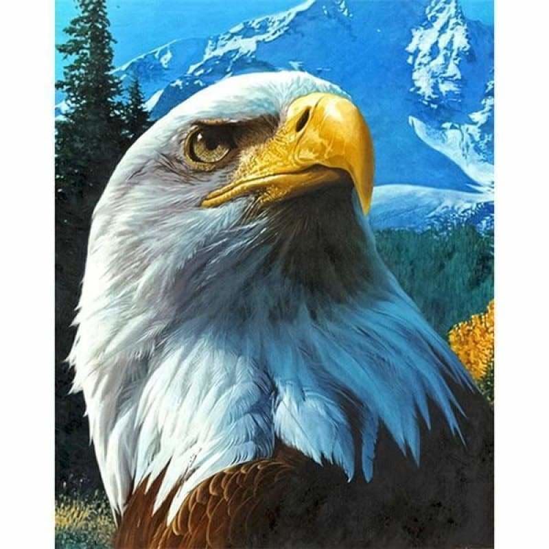 Hot Sale Eagle Portrait Full Drill - 5D Diy Diamond Painting