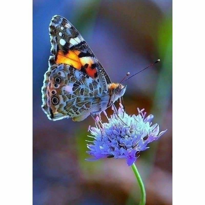 New Hot Sale Canvas Butterfly Full Drill - 5D Diy Diamond 
