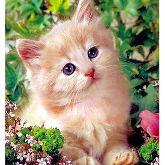 New Hot Sale Cute Cat Picture Full Drill - 5D Diy Diamond