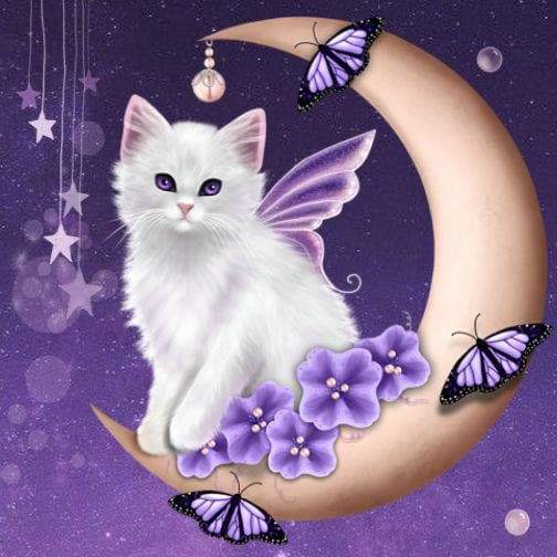 Moon Diamond Painting Kits