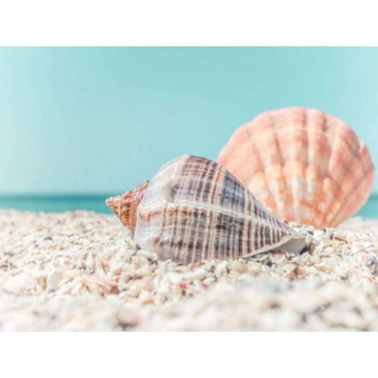 Beach Collection 12 - Full Drill Diamond Painting - Special