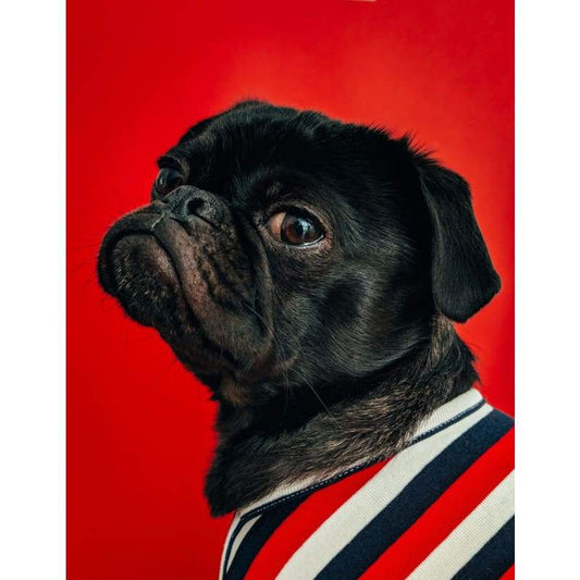 Black Dog 02- Full Drill Diamond Painting - Special Order -