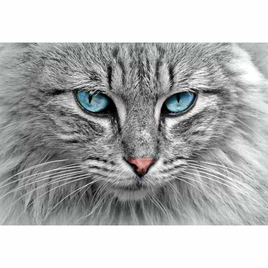 Blue Eyed Cat - Full Drill Diamond Painting - Special Order