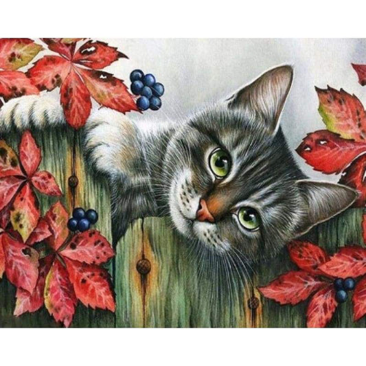 Cat On Fence- Full Drill Diamond Painting - Special Order -