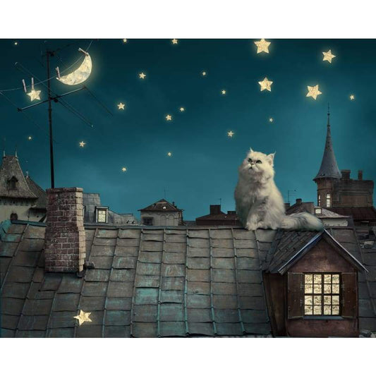 Cat On Roof - Full Drill Diamond Painting - Special Order -
