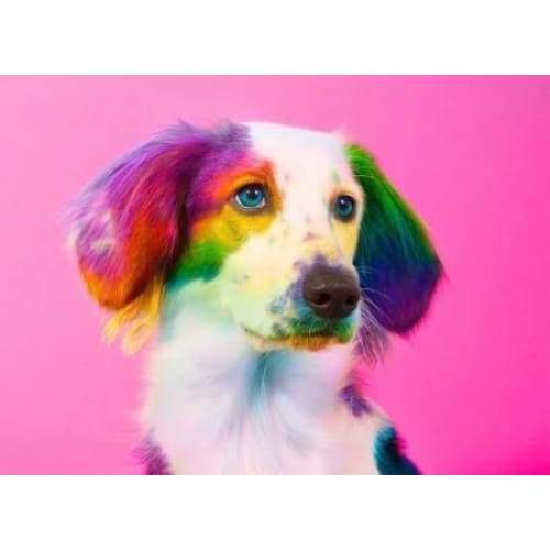 Colourful Dog 03- Full Drill Diamond Painting - Special