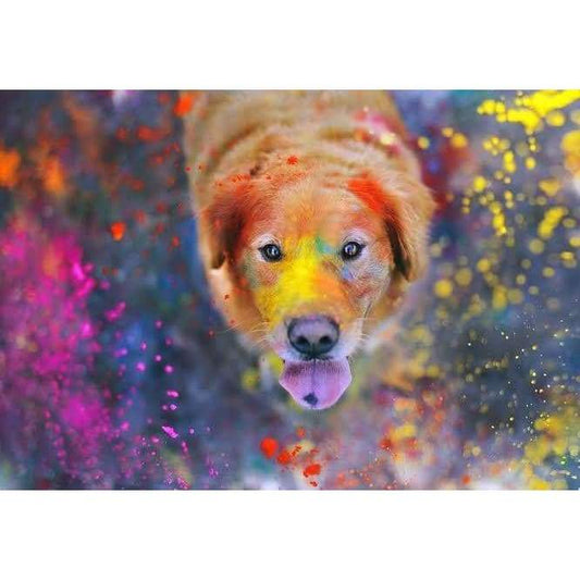 Colourful Paint Dog - Full Drill Diamond Painting - Special