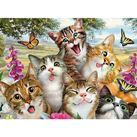 Crazy Cats - Full Drill Diamond Painting - Special Order -