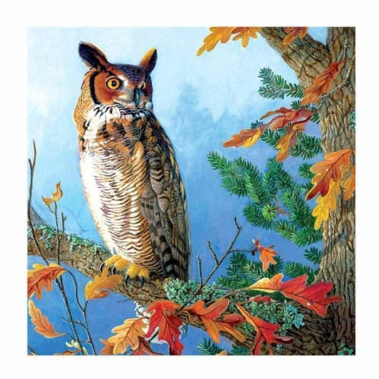 Full Drill - 5D Diamond Painting Kits Cool Owl On The