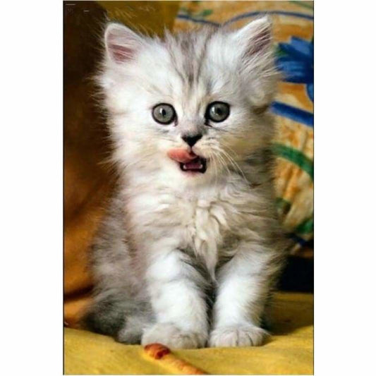 Full Drill - 5D Diamond Painting Kits Cute Cat Baby - 4