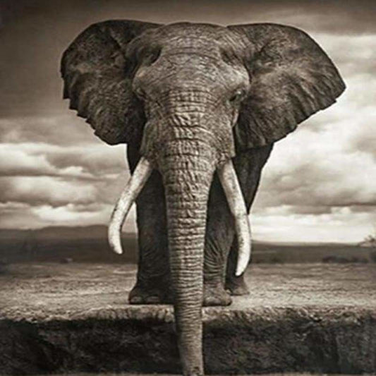 Full Drill - 5D Diamond Painting Kits Grey Elephant