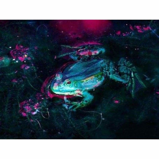 Full Drill - 5D DIY Diamond Painting Kits Colorful Different