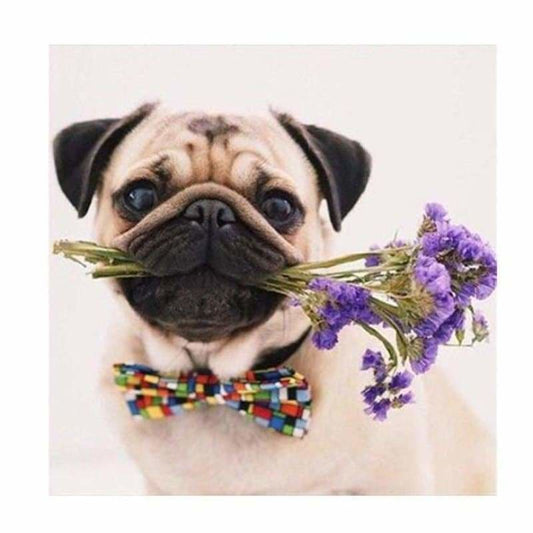 Full Drill - 5D DIY Diamond Painting Kits Cute Gentle Dog