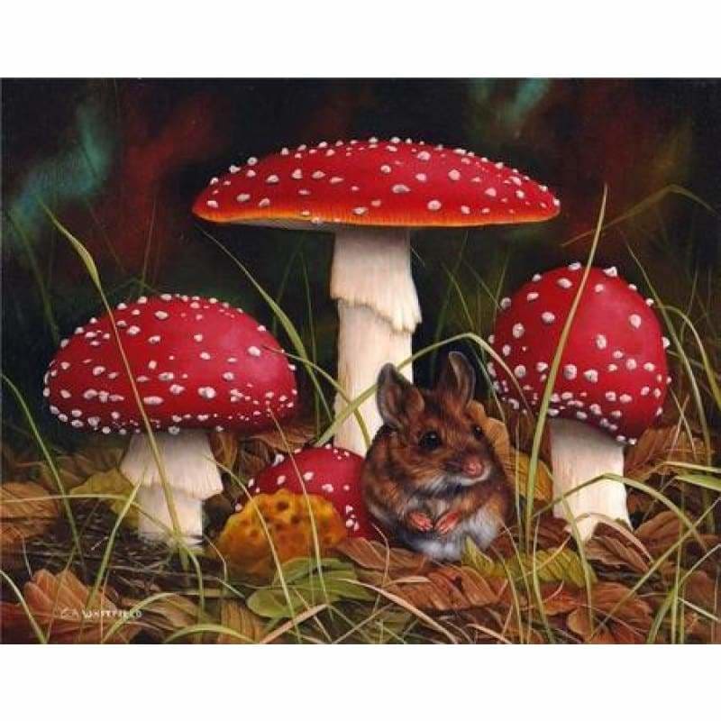 Full Drill - 5D DIY Diamond Painting Kits Cute Mushroom Jungle - NEEDLEWORK KITS