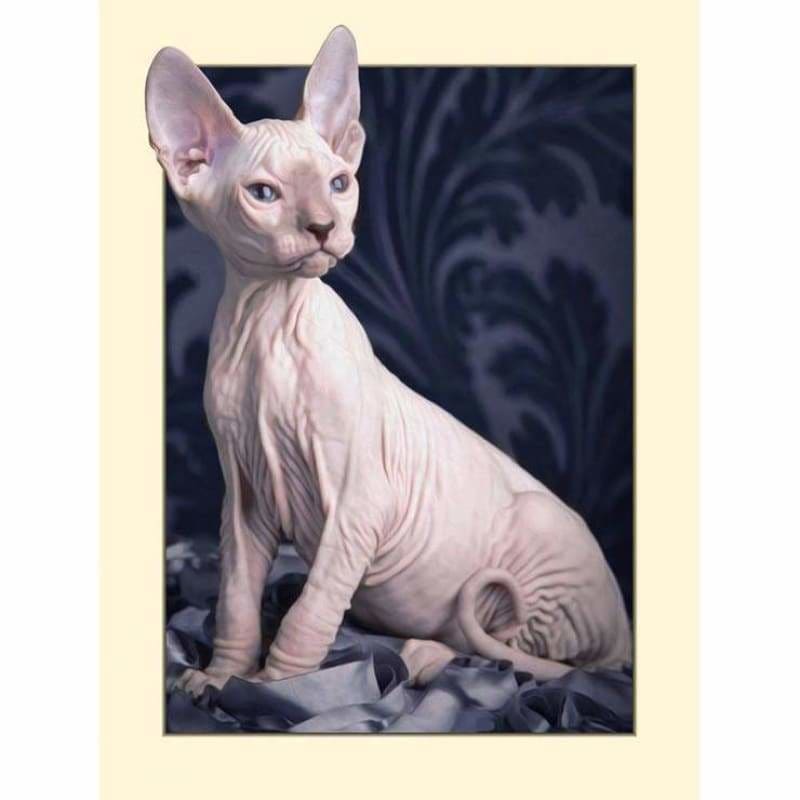 Full Drill - 5D DIY Diamond Painting Kits Cute Sphynx - NEEDLEWORK KITS