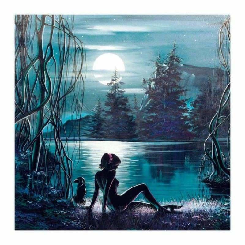 Full Drill - 5D DIY Diamond Painting Kits Dream Moon Scene 