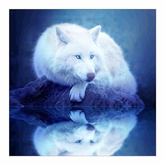 Full Drill - 5D DIY Diamond Painting Kits Dream White Wolf