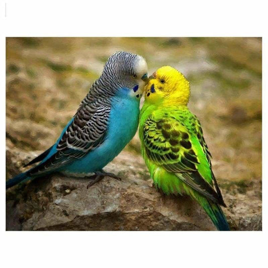 Full Drill - 5D DIY Diamond Painting Kits Loving Parrots