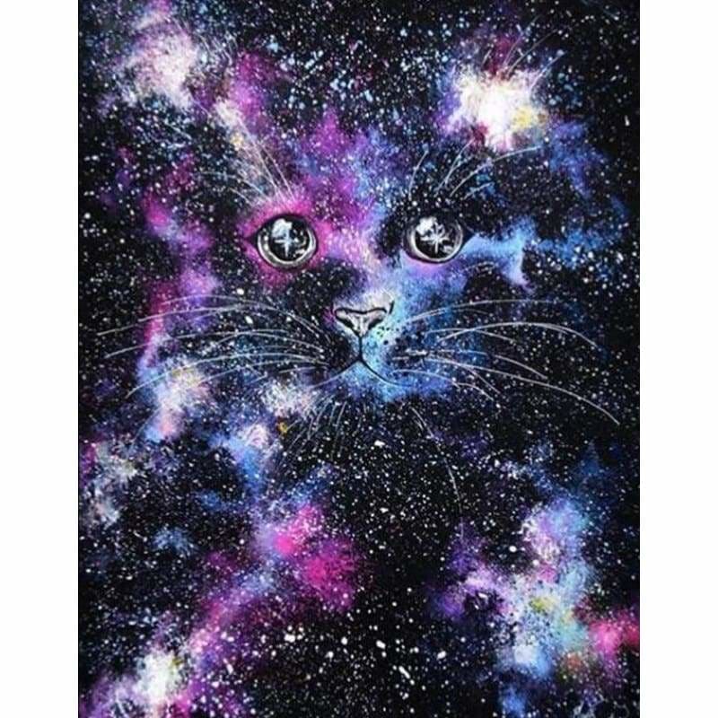 Full Drill - 5D DIY Diamond Painting Kits Milky Way Cat - Z3