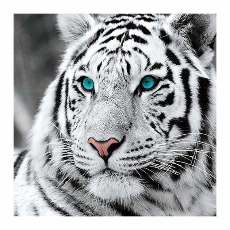 Full Drill - 5D DIY Diamond Painting Kits Serious Tiger