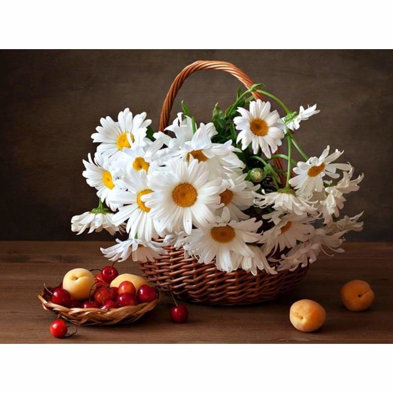 Full Drill - 5D DIY Diamond Painting Kits White Daisy in the Blanket - NEEDLEWORK KITS