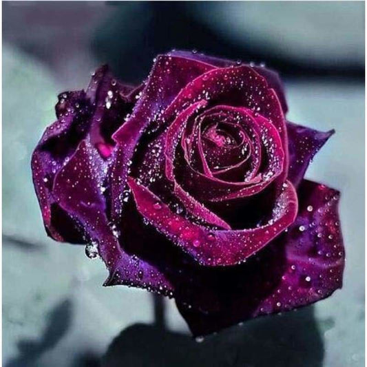 Full Drill - 5D DIY Diamond Painting Kits Wine Red Rose