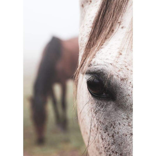 Horse Eye - Full Drill Diamond Painting - Special Order -